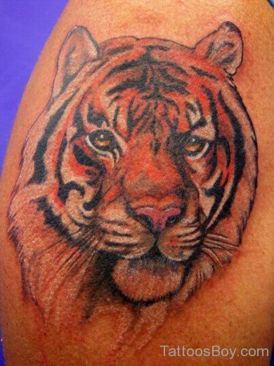 Tiger tattoo