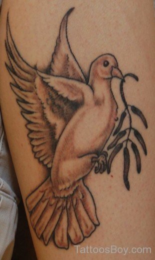 Dove Tattoo Design