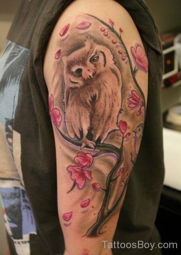 Owl And Cherry Blossoms Tattoo On Shoulder