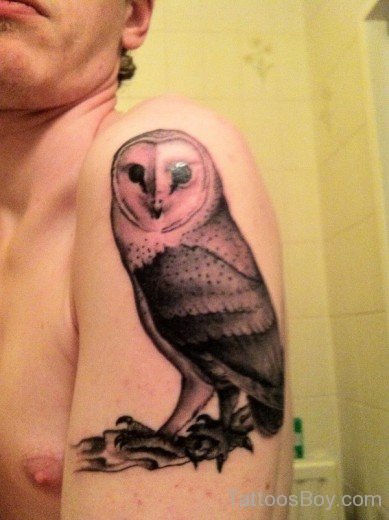 Owl Tattoo 