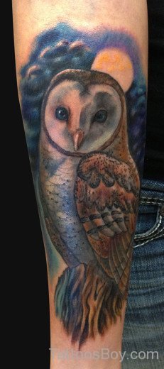Owl Bird Tattoo Design On Arm