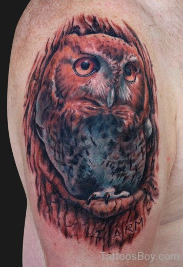 Owl Tattoo On Shoulder