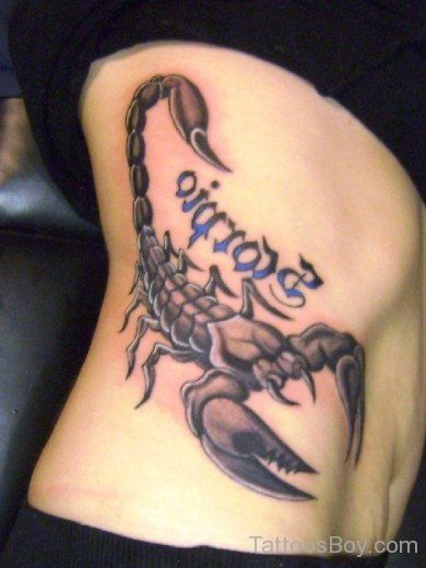 Scorpion Tattoo Design  On Rib