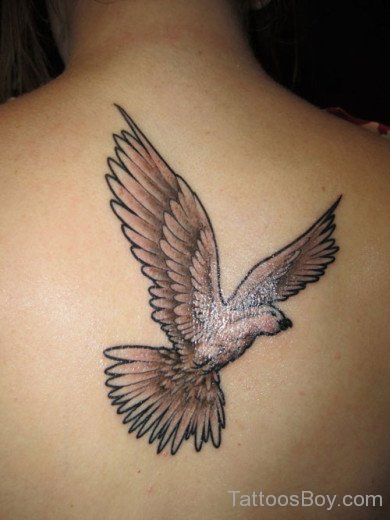 Stylish Dove Tattoo On Back