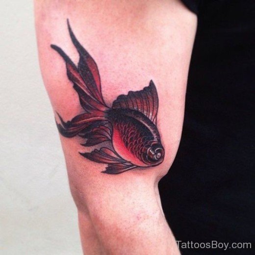 Attractive Koi Fish Tattoo