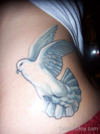 Dove Tattoo Design On Stomach