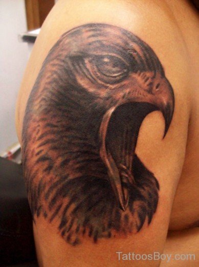 Eagle Face Tattoo On Shoulder
