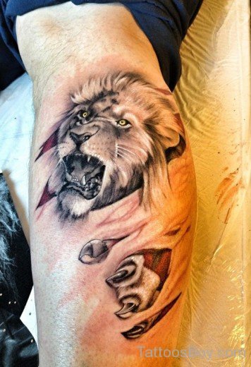 Lion Tattoo Design On Leg