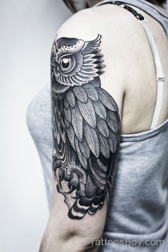 Owl Bird Tattoo On Shoulder