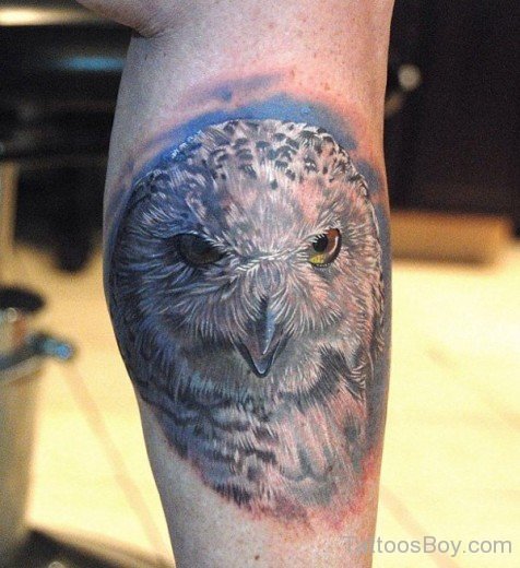 Owl Tattoo On Arm