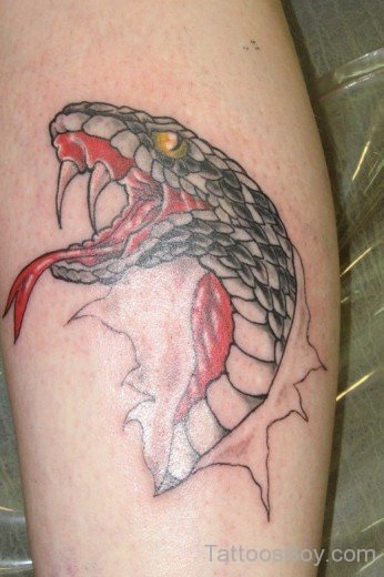 Snake Tattoo