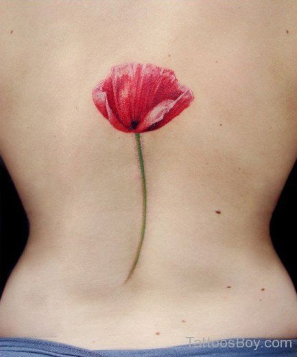 Attractive Poppy Tattoo On Bacmk-TD103