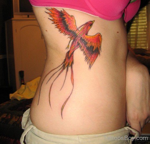 Awesome Phoenix Tattoo On Rib