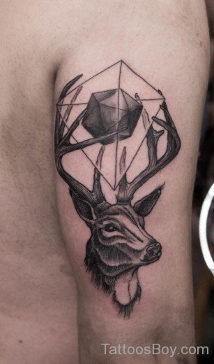 Deer Tattoo On Shouldre