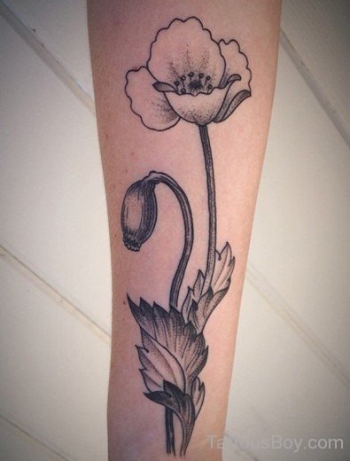 Black Poppy Flower Tattoo-TD111