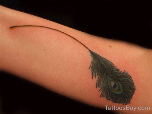 Peacock Feather Tattoo