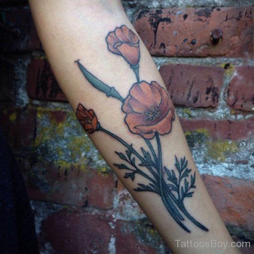Poppy Flower Tattoo On Arm-TD128
