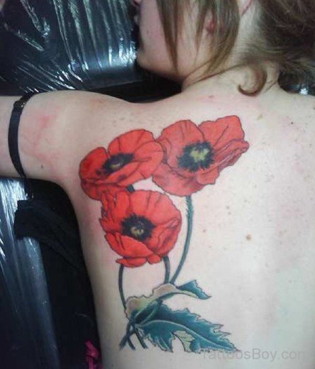 Red Poppy Flower Tattoo On Back-TD149