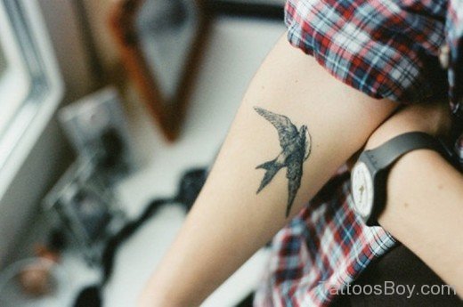 Swallow Tattoo 