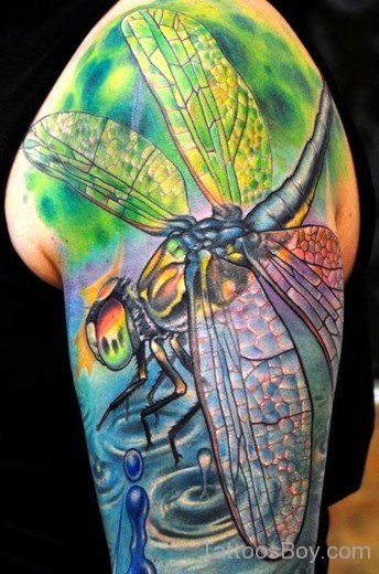 Attarctive Dragonfly Tattoo Design