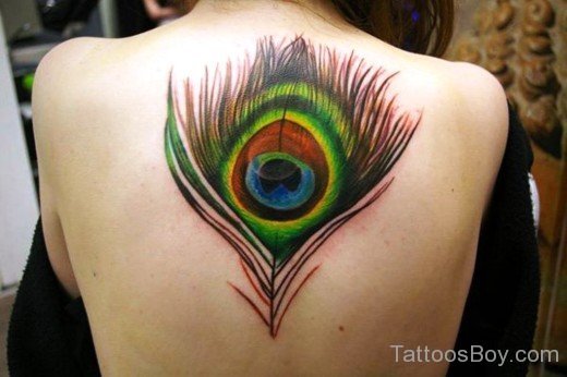 Wonderful Feather Tattoo 