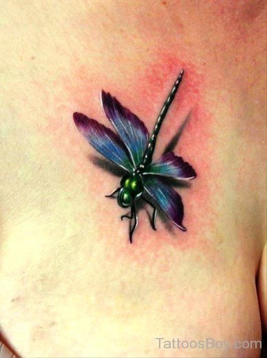  Dragonfly Tattoo 