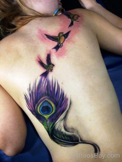 Beautiful Feather Tattoo On Back