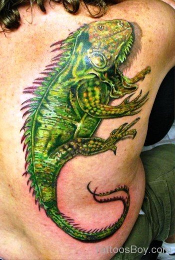 Iguana Tattoo