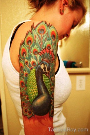 Peacock Bird Tattoo