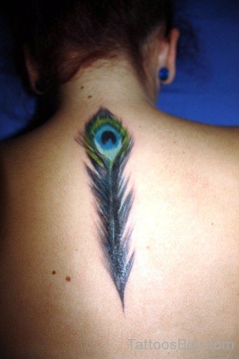 Peacock Feather Tattoo