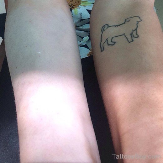 Dog Tattoo