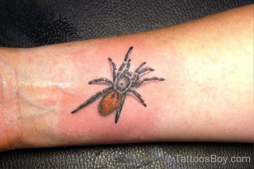 Spider Tattoo