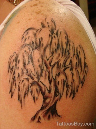 Willow Tree Tattoo On Shoulder