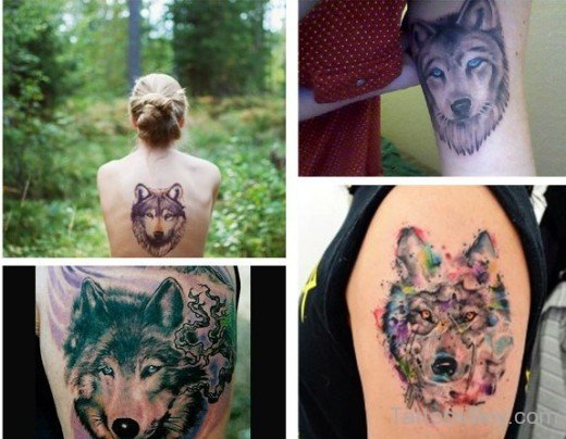 Wonderful Fox Tattoo Design