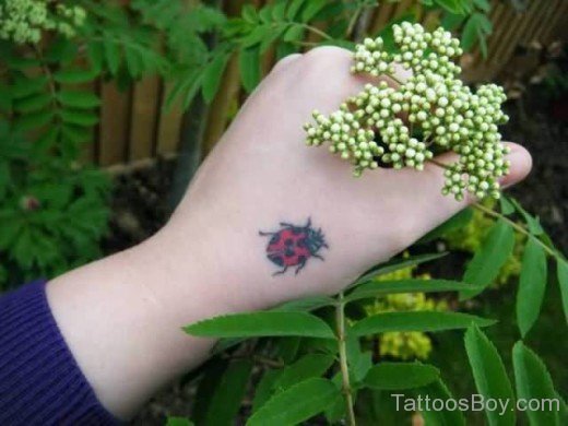 Ladybug Tattoo Design On Hand