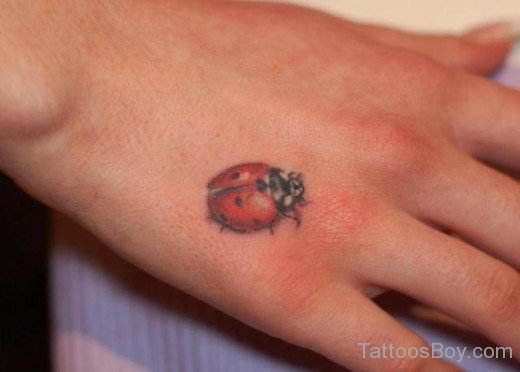 Ladybug Tattoo