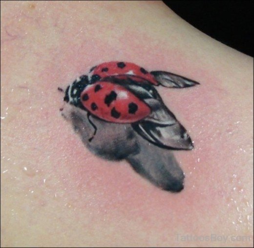 Ladybug Tattoo Design 