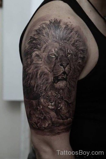 African Lion Tattoo Design On Shoulder