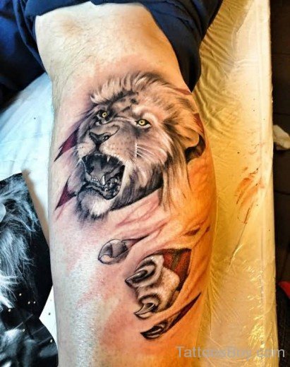 Amazing African Lion Tattoo