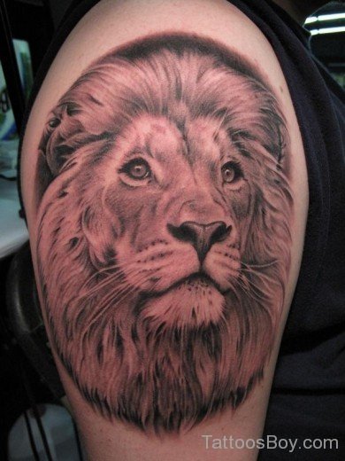 Awesome Lion Tattoo On Shoulder