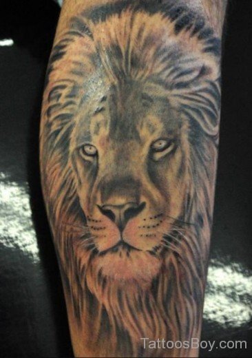 Lion Tattoo