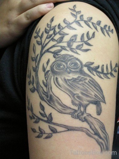 Owl Tattoo Design On Shoulder