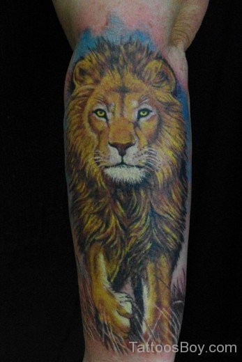  Lion Tattoo