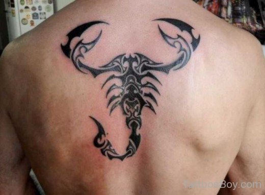 Scorpion Tattoo On Back