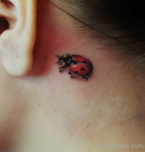 Tiny Ladybug Tattoo On Behind Ear