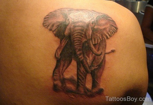 Elephant Tattoo