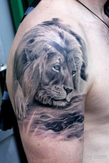 Amazing African Lion Tattoo-TB1051