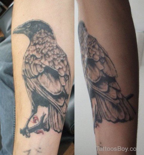 Amazing Crow Tattoo On Leg-TB1002
