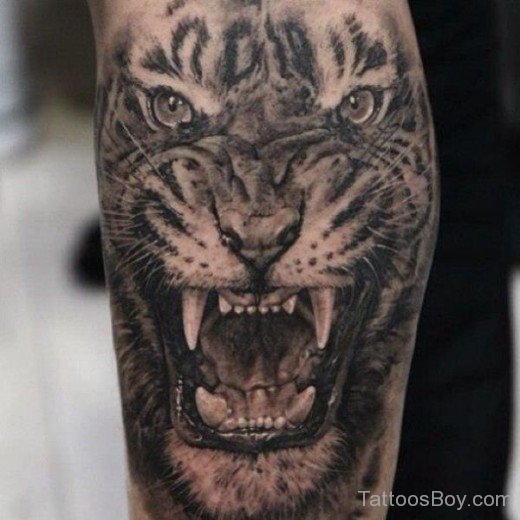 Angry Tiger Tattoo-tb102