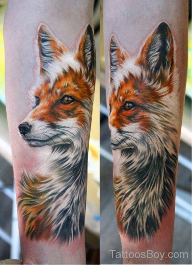 Awesome Fox Tattoo Design-TB12012